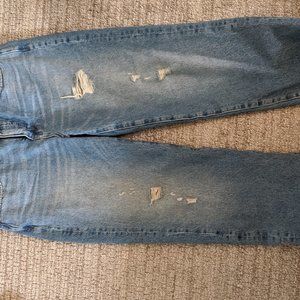 Madewell Classic Distressed Straight Leg Jeans